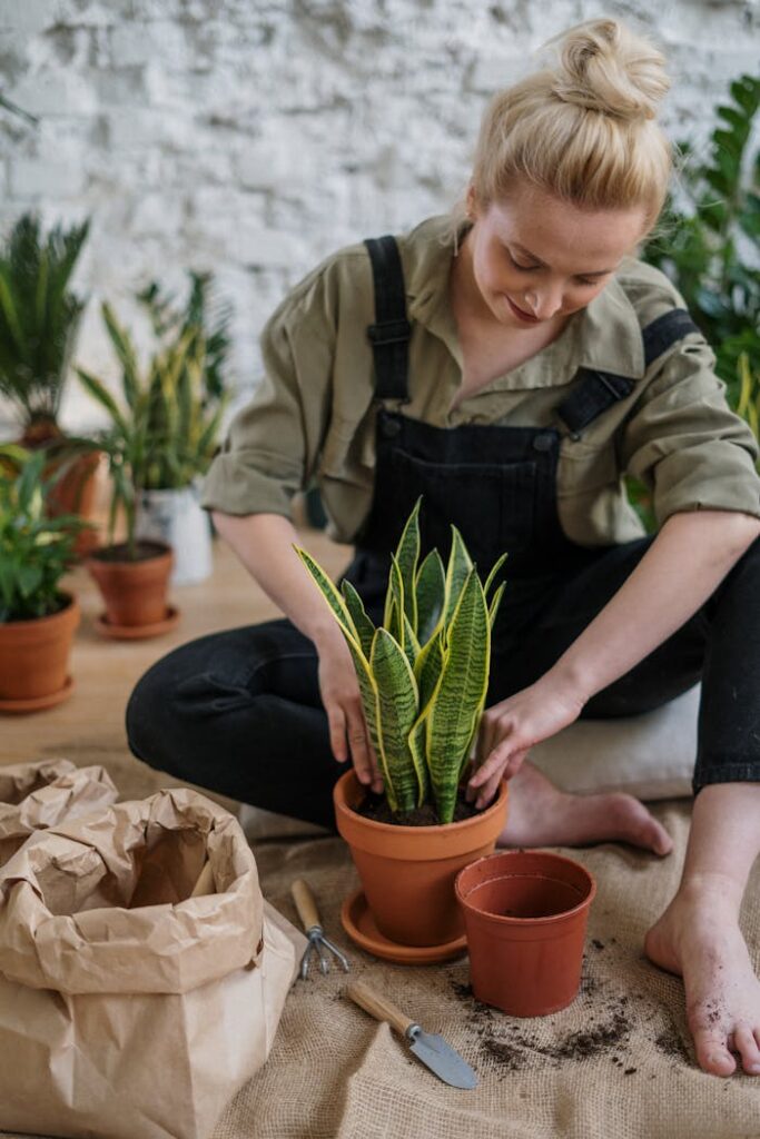 Man in Gray Button Up Shirt Holding Green Plant